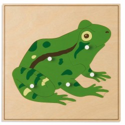 Puzzle animal : GRENOUILLE...