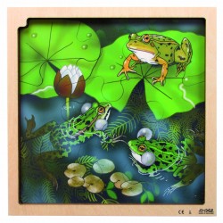 Puzzle - Cycle de vie de la...