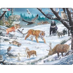 Faune hivernale en Sibérie...