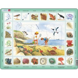 Bords de mer - Puzzle...