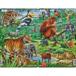 Pack 2 Puzzles Larsen - La...