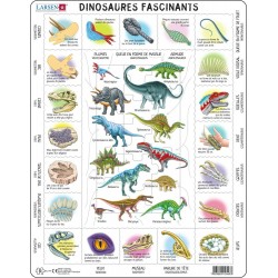 Dinosaures Fascinants -...