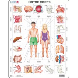 Le corps humain - Puzzle...