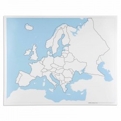Carte de contrôle muette de...