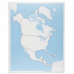 Carte de contrôle muette...
