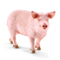 Truie - 13782 - Schleich