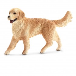 Golden Retriever - Femelle...