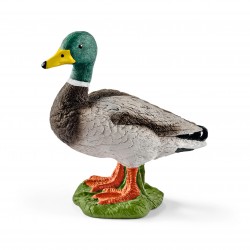 Canard - 13824 - Schleich