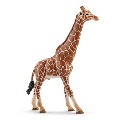 Girafe mâle - Figurine...