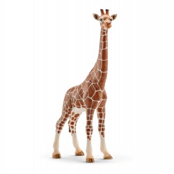 Girafe femelle - Figurine...
