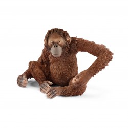 Orang-outan femelle - 14775...