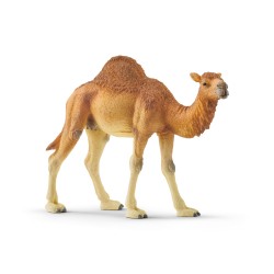 Dromadaire - 14832 - Schleich