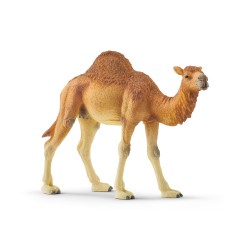 Dromadaire - 14832 - Schleich