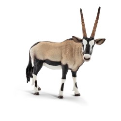 Oryx gazelle - 14759 -...